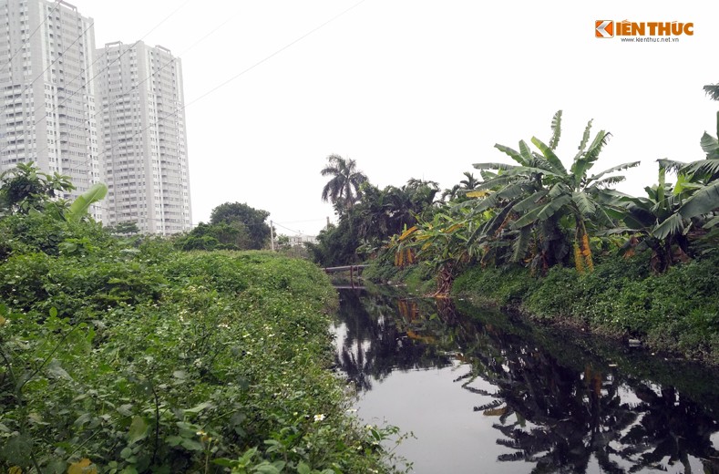 Những người dân ở xã Vân Canh (huyện Hoài Đức, Hà Nội) cho biết, nước kênh ô nhiễm chảy qua địa bàn xã này diễn ra đã hàng chục năm do ảnh hưởng bởi nước thải từ khu công nghiệp Di Trạch (huyện Hoài Đức, Hà Nội (cách đó khoảng 1km) xả ra môi trường không được xử lý.