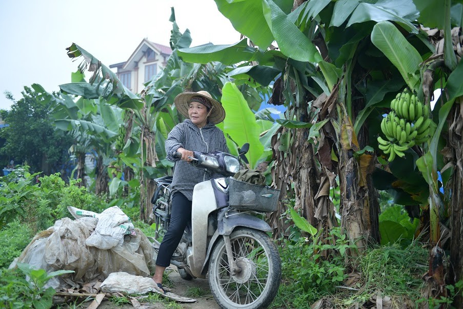 Hình ảnh bà Đặng Thị Tuyên (56 tuổi, trú tại xã Đông Phương Yên, huyện Chương Mỹ, TP Hà Nội) mỗi ngày dậy từ khoảng 4h30 sáng để đi hái lá chuối về cung cấp cho các cửa hàng, cùng cơ sở kinh doanh đã quá quen thuộc với người dân nơi đây.