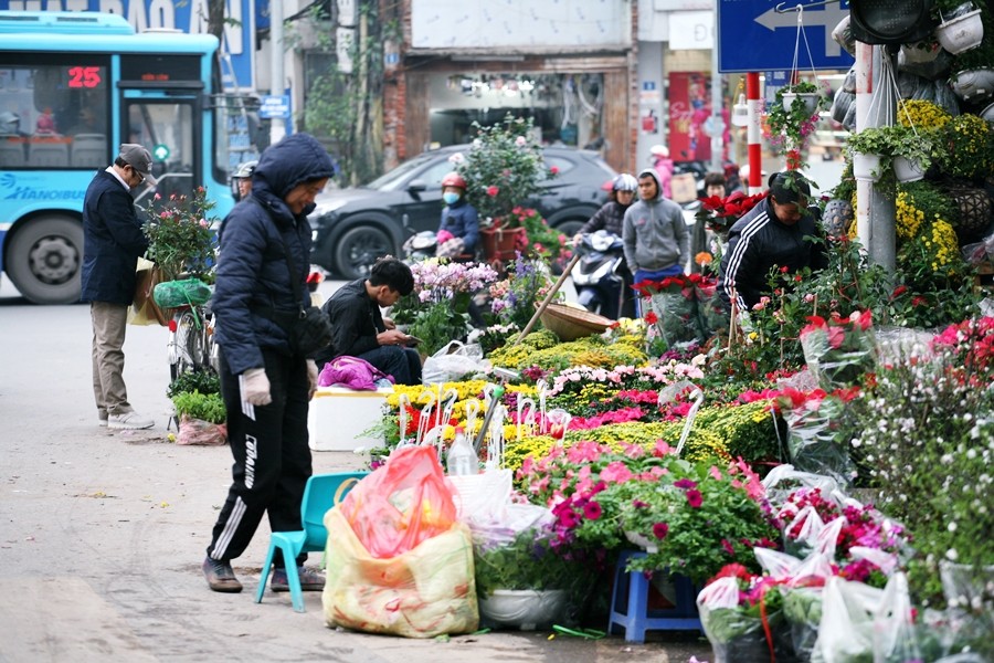 Những ngày cận Tết Nguyên đán Canh Tý 2020, phố Hoàng Hoa Thám (Hà Nội) càng trở nên náo nhiệt và nhộn nhịp hơn khi người dân Thủ đô kéo nhau về đây mua sắm các loại cây, hoa cảnh để trang trí dịp Tết.