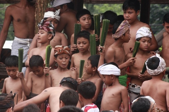 Những bé trai trong làng Tenganan trên đảo Bali, Indonesia, cầm lá dứa dại để chuẩn bị tham gia một nghi lễ trong  lễ hội Usabha Sambah nhằm bày tỏ sự tôn kính đối với Indra, thần chiến tranh trong đạo Hindu hôm 8/6.