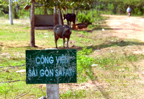 Dự án  Công viên Sài Gòn Safari nằm trên địa bàn 2 xã An Nhơn Tây và Phú Mỹ Hưng, huyện Củ Chi - TP HCM, được UBND TP HCM phê duyệt với mong muốn dự án trở thành mô hình công viên giải trí du lịch sinh thái, nơi nuôi dưỡng, trưng bày, nhân giống các loài động thực vật trong nước và các châu lục khác trên thế giới. Đồng thời, tại đây sẽ nuôi dưỡng khoảng 300 loài động vật với khoảng 10.000 con cùng 3.000 loài thực vật, bao gồm cả cây cảnh, cây xanh và dây leo.