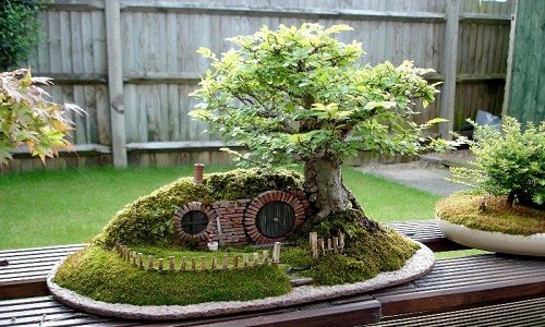 Những tiểu cảnh,  chậu bonsai đẹp, lạ mắt thể hiện sự khéo léo, tài tình và con mắt nghệ thuật của người nghệ nhân.