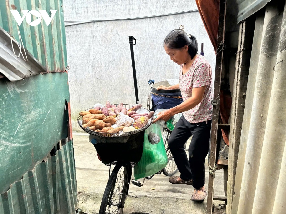 Bão lũ do ảnh hưởng của hoàn lưu bão số 3 đi qua, người dân Hà Nội khu vực ven sông Hồng dần trở lại cuộc sống bình thường. Các hoạt động trồng trọt, chăn nuôi, buôn bán đang được tái thiết và dọn dẹp...