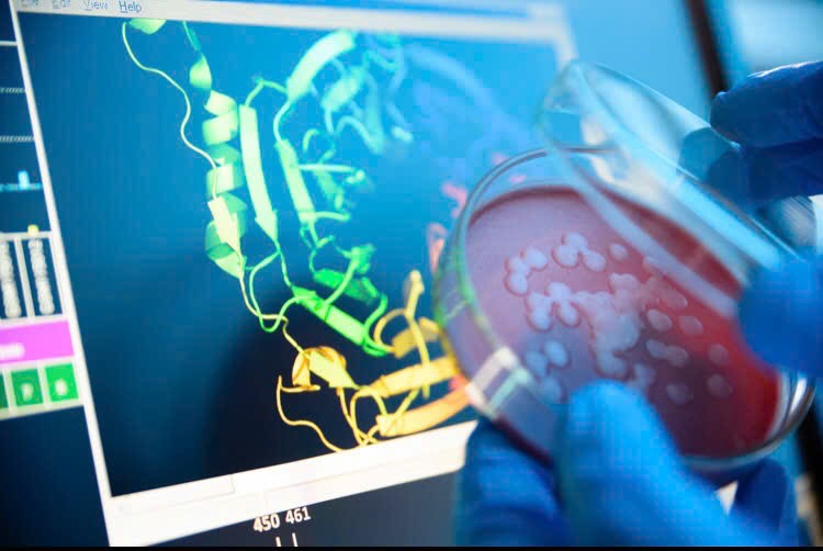 Trong một nghiên cứu được công bố đầu tháng 7/2024 trên cơ sở dữ liệu bioRxiv, các nhà khoa học đã sử dụng  mô hình AI mới ESM3, để tạo ra một loại protein huỳnh quang mới chỉ chia sẻ 58% trình tự của nó với các protein huỳnh quang xuất hiện tự nhiên. (Ảnh: Quartz )