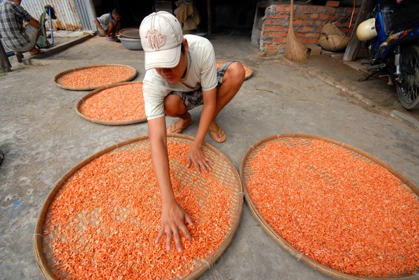 Giá lên tới cả triệu đồng/kg nhưng  tôm khô miền Tây vẫn luôn đắt hàng vì chất lượng rất đặc biệt. Ảnh: Zing.