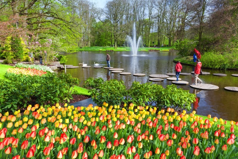 Keukenhof nằm tại một thị trấn nhỏ phía nam Amsterdam (Hà Lan) là  vườn hoa lớn nhất thế giới, rộng 32 ha.