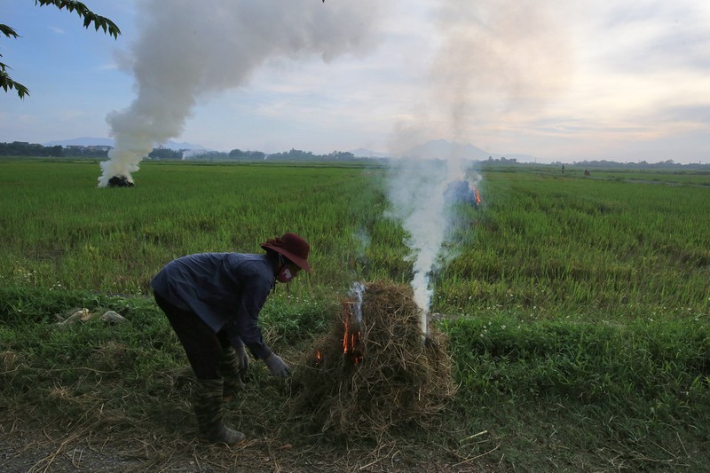 Trước đây, rơm khô hay vỏ trấu được người nông dân sử dụng làm chất đốt để nấu nướng hàng ngày. Vài năm gần đây, các vật phẩm này còn trở thành đồ bỏ đi ở làng quê do không còn nhu sử dụng nữa. Ảnh: Baophapluat.