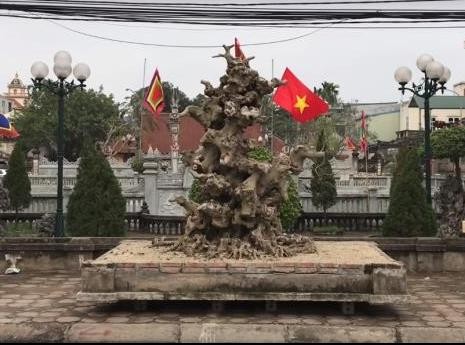 Trong Hội triển lãm bonsai Ngô Sài (huyện Quốc Oai, TP.Hà Nội), nhiều khách tham quan không khỏi trầm trồ trước phôi cây sanh Nam Điền của ông Đặng Đình Thuận (biệt danh Thuận "đồng nát" ở Ứng Hòa, TP.Hà Nội). Ảnh: Đất Việt