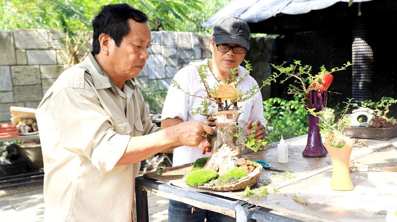 Ông Nguyễn Văn Phúng (59 tuổi), trú tại thôn Phước Thượng, xã Phước Đồng TP. Nha Trang (Khánh Hòa) vừa được Tổ chức Liên minh Kỷ lục Thế giới (Worldkings) thông báo công nhận “Bộ sưu tập bonsai và tiểu cảnh mini có số lượng nhiều nhất thế giới” với 4575 bonsai, tiểu cảnh bonsai mini. Ảnh: Plo.