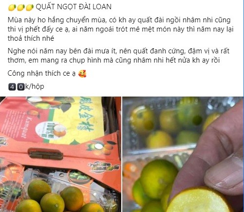 Khoảng 2 tuần nay, trên chợ mạng xuất hiện nhiều tiểu thương rao bán  quất ngọt Đài Loan (hay còn gọi quất mật Đài Loan).