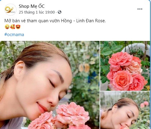 Mới đây, trên trang cá nhân, Ốc Thanh Vân chia sẻ những bức ảnh chụp hoa trong vườn khiến ngay cả MC Quyền Linh cũng phải thích thú.