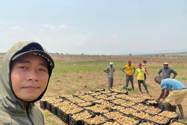 Mới đây, lứa khoai tây đầu tiên của  Quang Linh Vlog tại trang trại ở Angola đã bước vào vụ thu hoạch đầu tiên. Ảnh: Facebook Quang Linh Vlogs