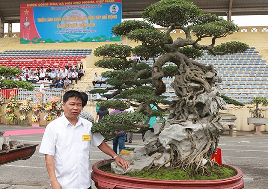 Đại gia Phan Văn Toàn (hay còn gọi Toàn "Đô la") ở Phú Thọ nổi tiếng trong giới chơi cây cảnh Việt Nam. Ông Toàn chuyên sưu tầm những cây cảnh độc lạ nổi tiếng. Ảnh: Vietnamnet