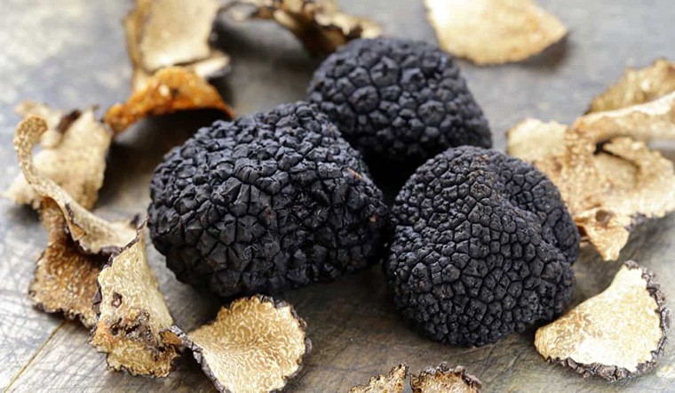 Nấm Truffle là loại quý và hiếm nhất trong các loại nấm được dùng để chế biến thực phẩm. Có hai loại  nấm Truffle là đen và trắng. Nấm Truffle thượng hạng trên thị trường có giá từ 12.000 – 20.000 USD/kg (khoảng 281 - 469 triệu đồng/kg). Ảnh: Getty