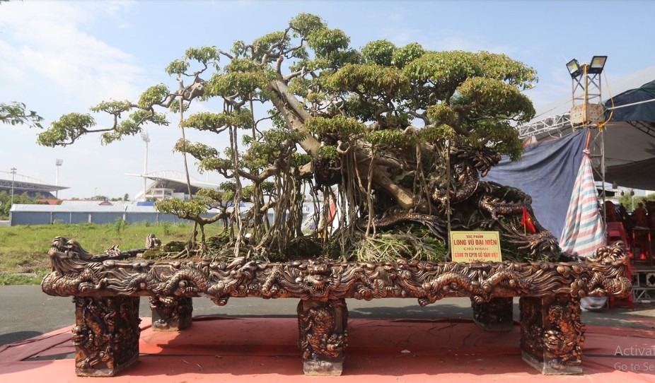 Xuất hiện tại Festival Sinh vật cảnh Hà Nội lần thứ nhất năm 2024, tác phẩm bonsai "Long Vũ Đại Niên" trị giá gần 10 tỷ đồng thu hút sự chú ý của đông đảo khách tham quan. Ảnh: Tiền phong