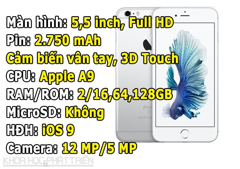 iPhone 6s Plus (từ 21,79 triệu đồng xuống còn 19,79 triệu đồng).