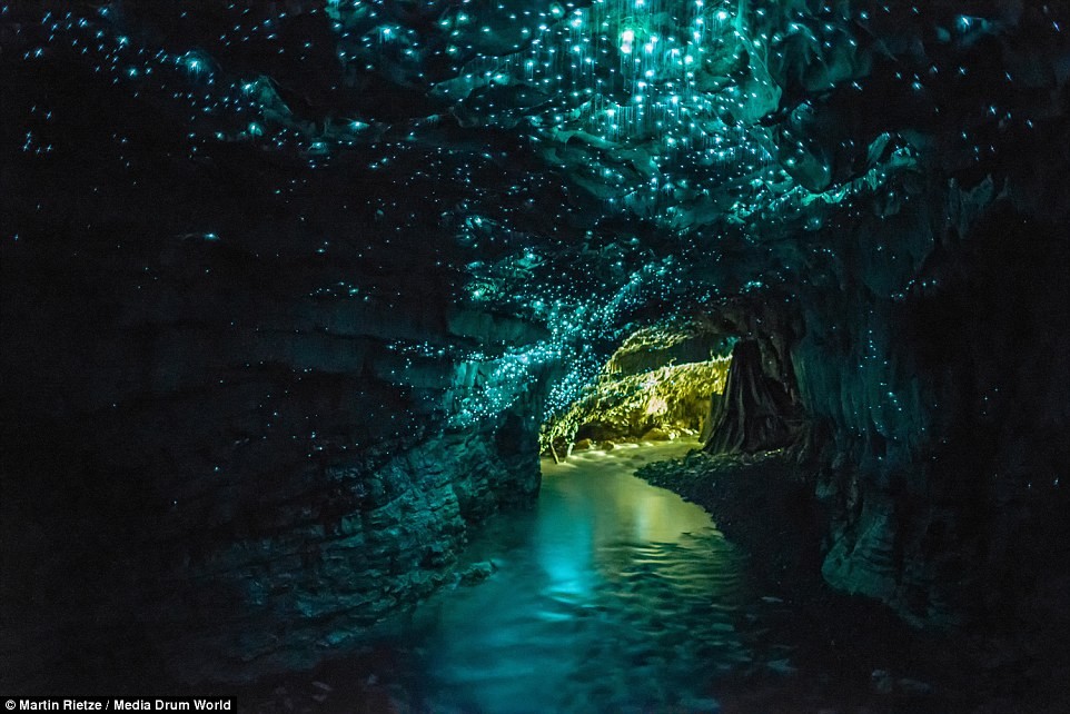 Một trong những  cảnh đẹp ngoạn mục không nên bỏ qua là ở hang động Wiatomo Glowworm trên đảo North, New Zealand.