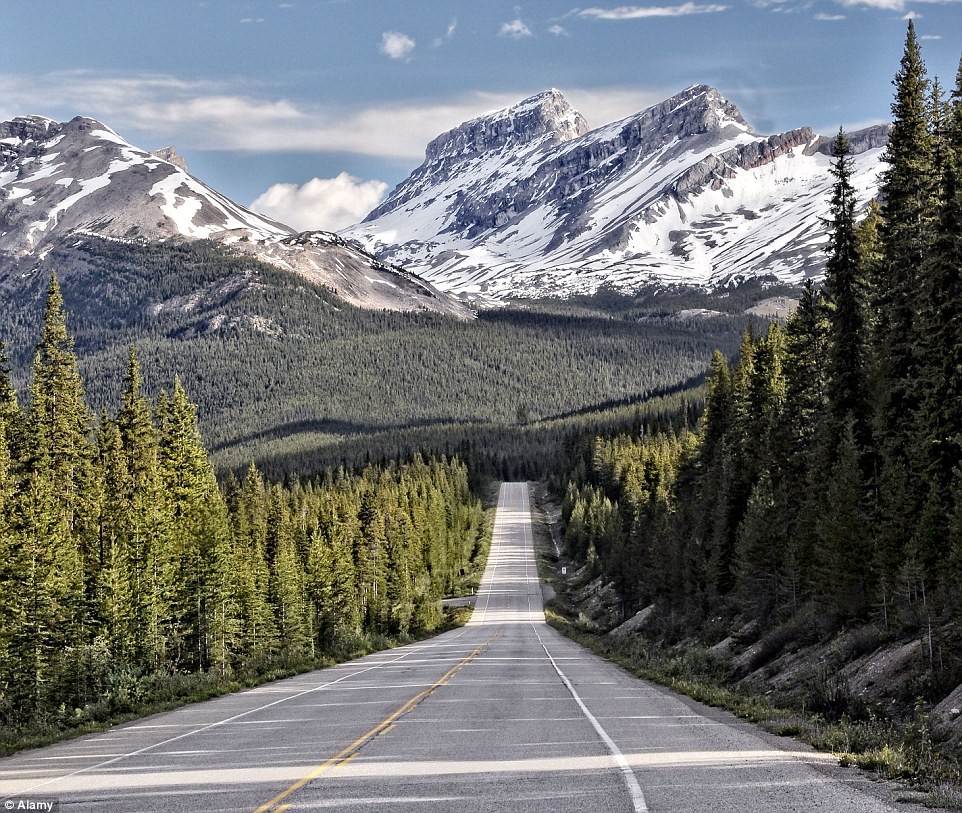 Con đường dài 230 km chạy qua hai vườn quốc gia Jasper và Banf ở tỉnh Alberta, Canada, là một trong những  con đường đẹp nhất thế giới.