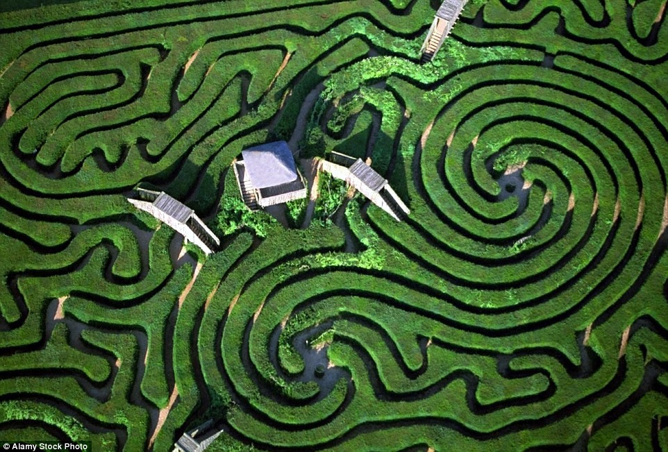  Mê cung Longleat xanh mướt ở Wiltshire, Anh.