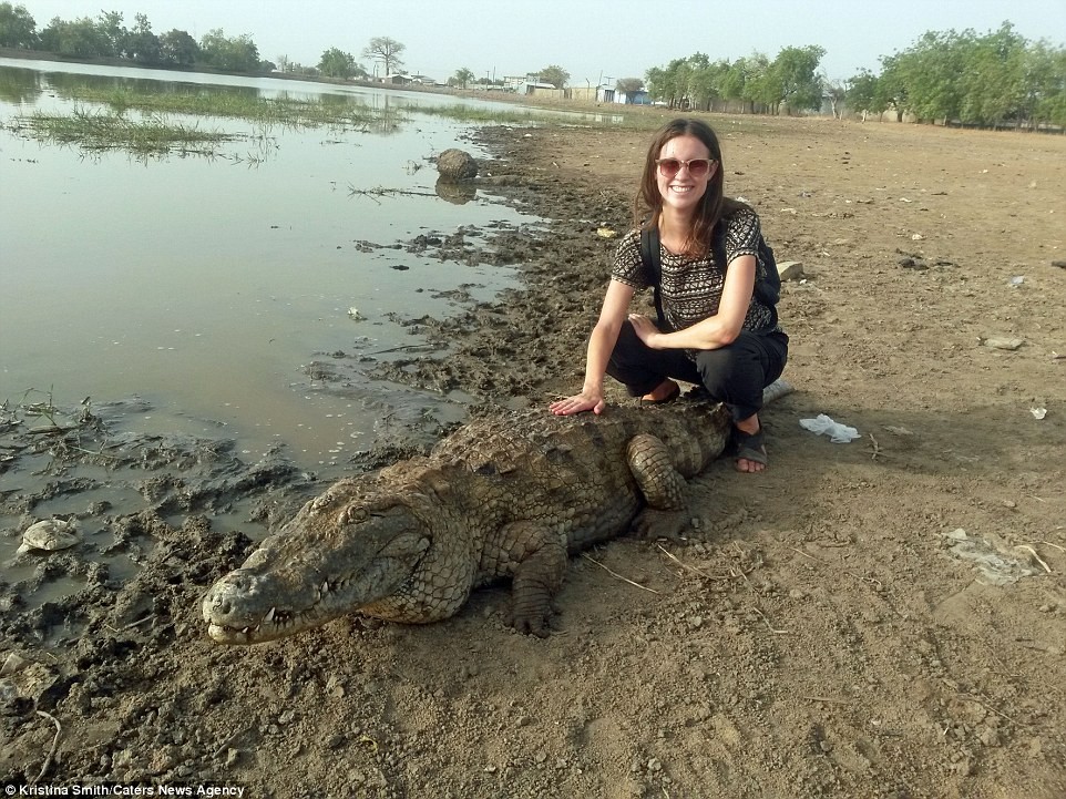 Nữ du khách Kristina Smith mạo hiểm cưỡi cá sấu khổng lồ chụp ảnh trong chuyến du lịch tới vùng miền đông Paga, Ghana. (Nguồn: Daily Mail)