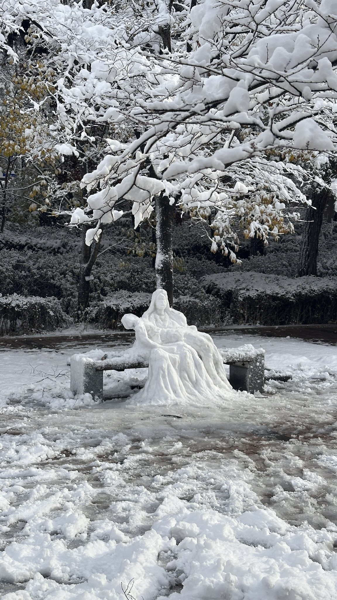 Vùng thủ đô Seoul, nơi sinh sống của hơn 1/2 dân số Hàn Quốc, đã ghi nhận trận tuyết đầu mùa với lượng tuyết lớn, phủ trắng mặt đường, cây cối...