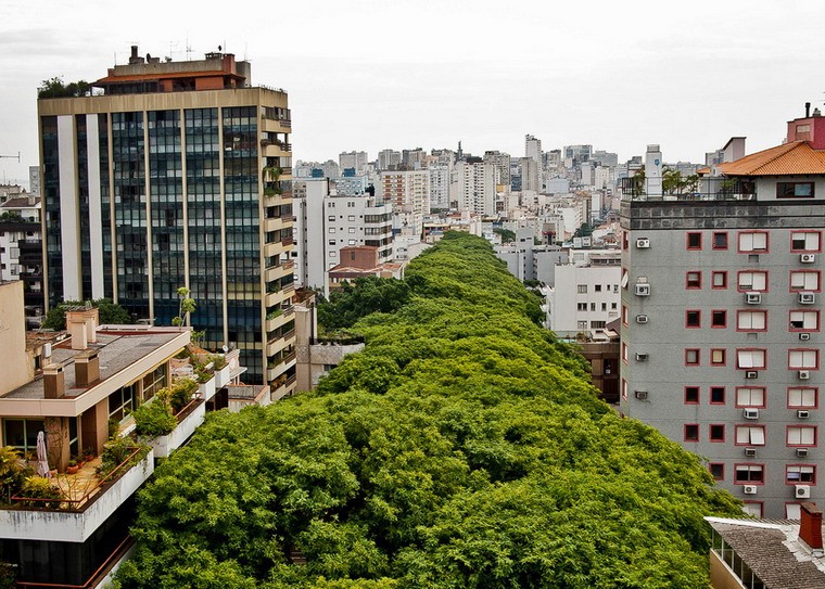 Rua Goncalo de Carvalho - con đường tọa lạc ở thành phố Porto Alegre, bang Rio Grande do Sul của Brazil nổi tiếng cả thế giới với cả một khu "rừng rậm" trùm lên phía trên.