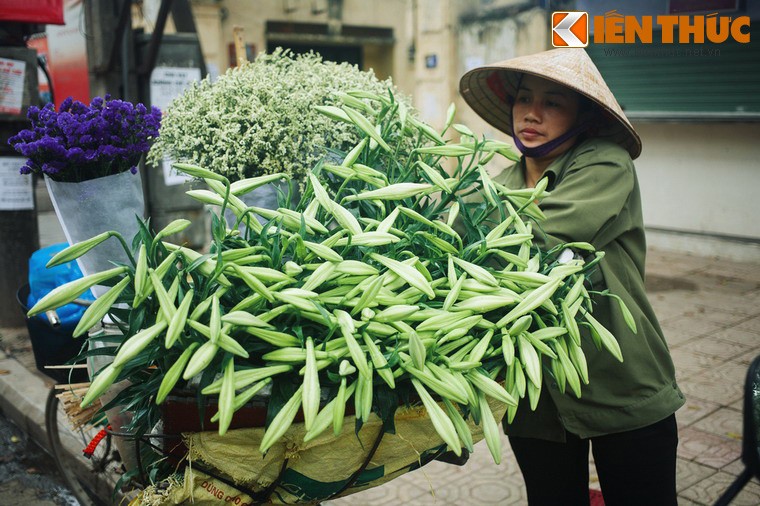 Với người Hà Nội, tháng 4 là mùa  hoa loa kèn. Tuy nhiên, không phải ai cũng biết về xuất xứ và truyền thuyết về loài quyến rũ này.