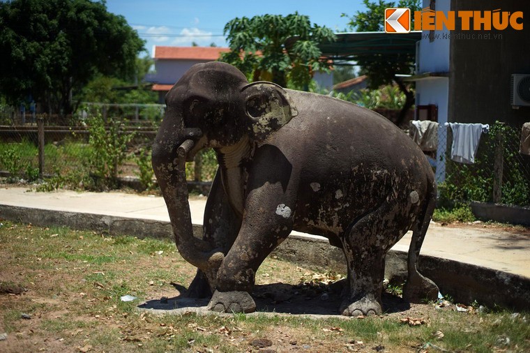 Nằm ở địa phận xã Nhơn Hậu, thị xã An Nhơn, tỉnh Bình Định, thảnh cổ Đồ Bàn từng là kinh đô của vương quốc Chăm Pa. Ngày nay, trong khu vực này còn lưu giữ cặp  tượng voi đá cổ rất độc đáo do người Chăm chế tác.