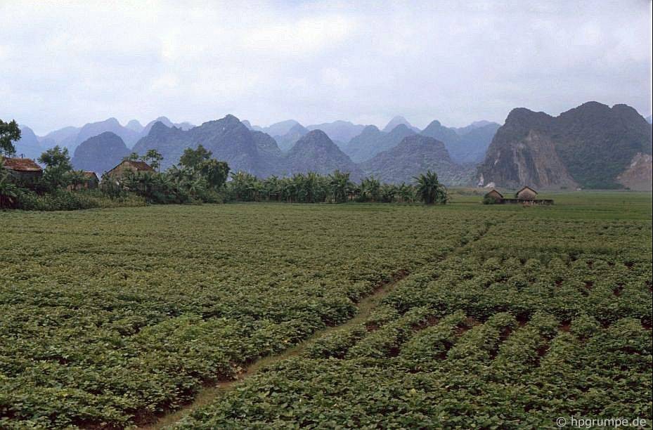 Khung cảnh trên đường đến  Chùa Hương năm 1991. Nằm ở huyện Mỹ Đức, Hà Nội (năm 1991 thuộc tỉnh Hà Tây), Chùa Hương là một quần thể di tích gồm hàng chục đình, đền, chùa nằm trên một vùng núi non trùng điệp.