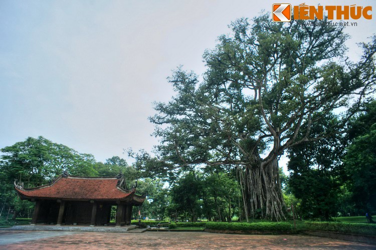 Nằm trên địa bàn thị trấn Lam Sơn, Thọ Xuân, tỉnh Thanh Hóa,  Cố đô Lam Kinh là một di tích gắn liền với sự nghiệp của vua Lê Thái Tổ và nhà Hậu Lê trong lịch sử Việt Nam.