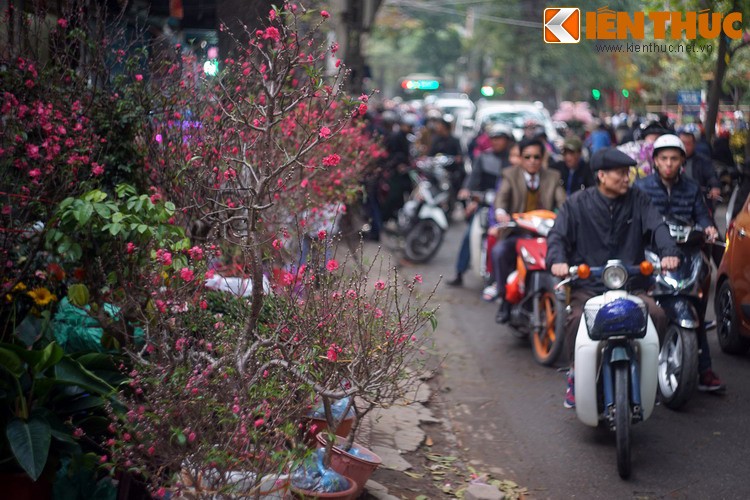 Chơi  hoa đào Tết là một tục lệ có từ lâu đời ở miền Bắc Việt Nam, ngày nay đã hiện diện ở mọi miền đất nước. Phía sau nét đẹp văn hóa này là một truyền thuyết đã có từ xa xưa.