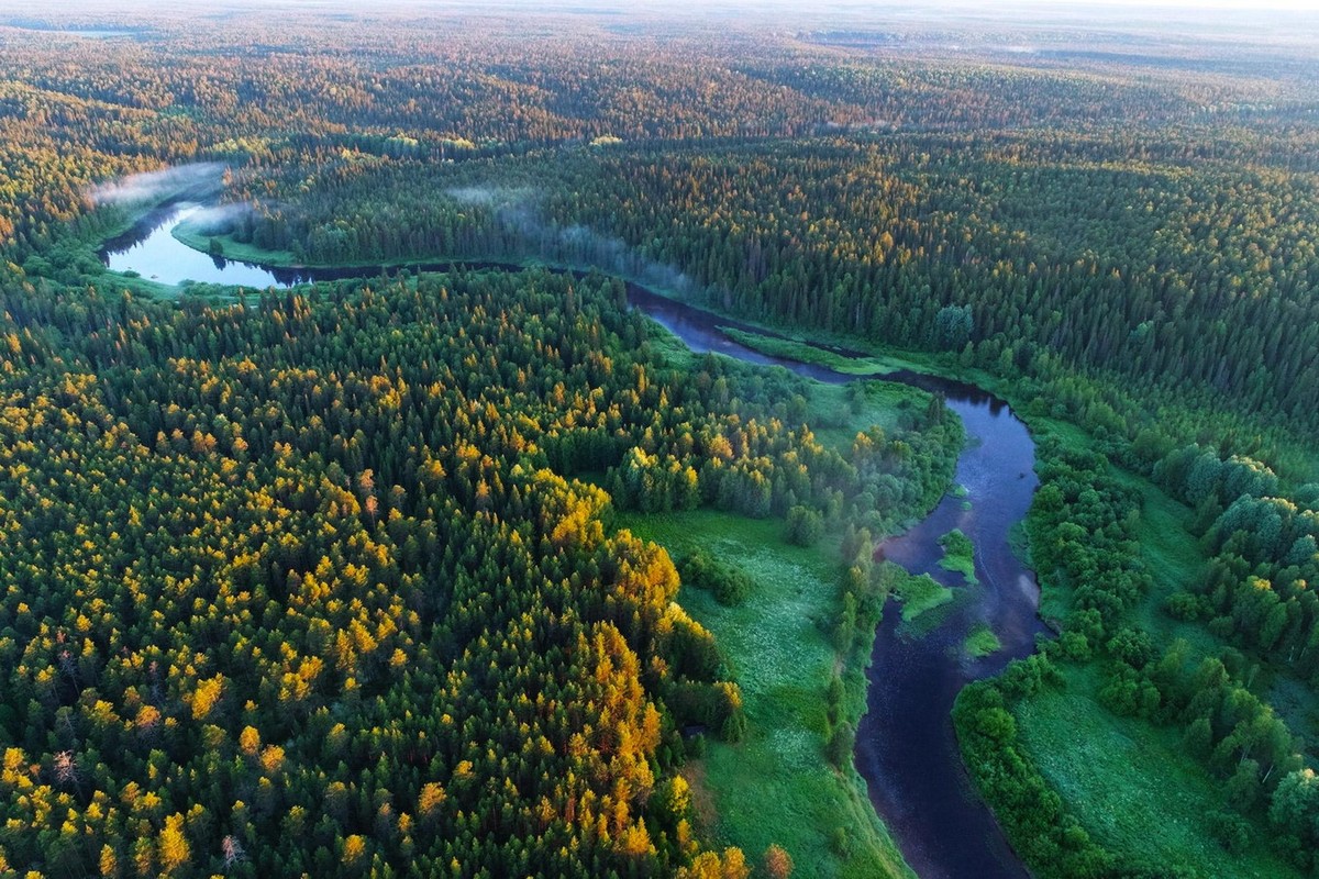 Bao phủ hầu hết phần đại lục của Alaska, Canada, Thụy Điển, Phần Lan, Na Uy và đặc biệt là Nga, rừng taiga được coi là quần xã sinh vật đất liền lớn nhất trên thế giới. Ảnh: Izvestia.