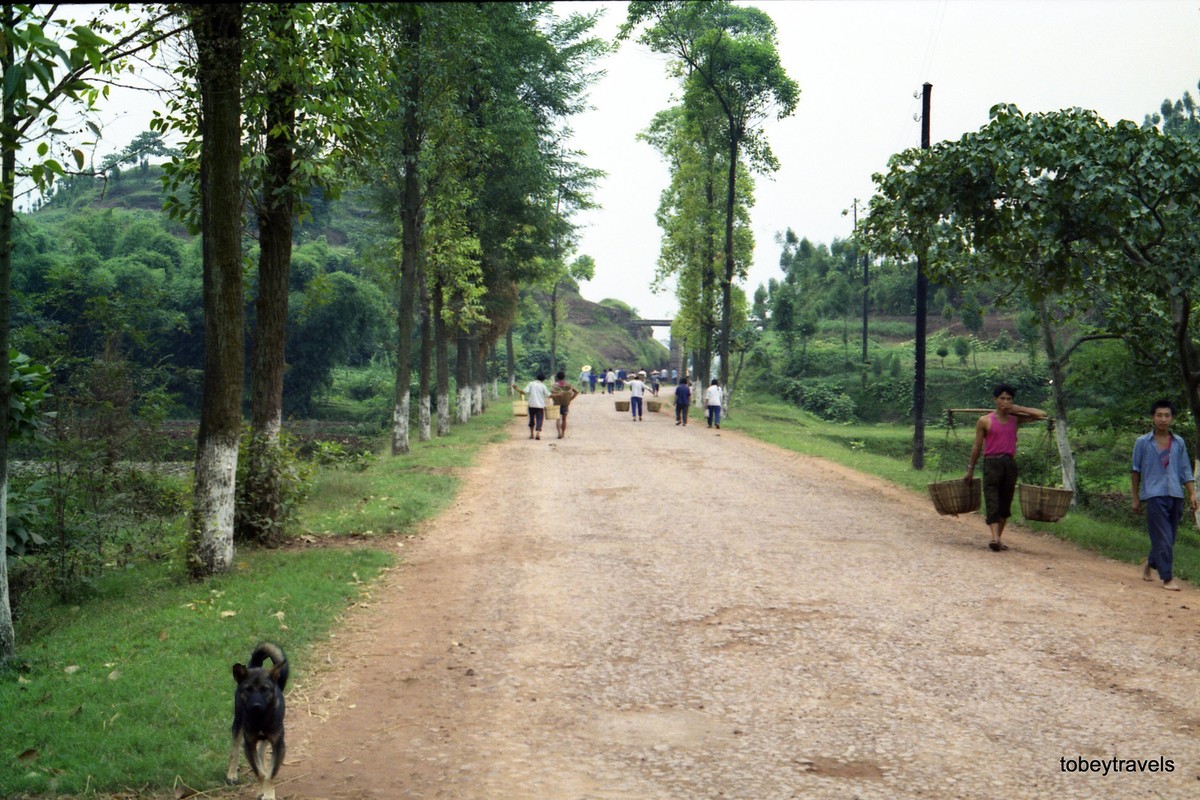 Trên con đường nông thôn ở huyện Đại Túc, tỉnh Trùng Khánh,  Trung Quốc năm 1984. Ảnh: Tobeytravels Flickr