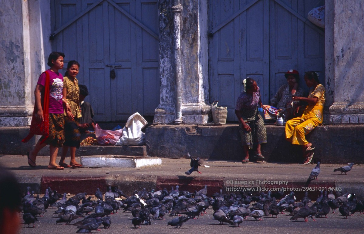 Đàn bồ câu trên đường phố thủ đô Yangoon,  Myanmar năm 1996. Ảnh: Gunter Hartnagel/Flickr.