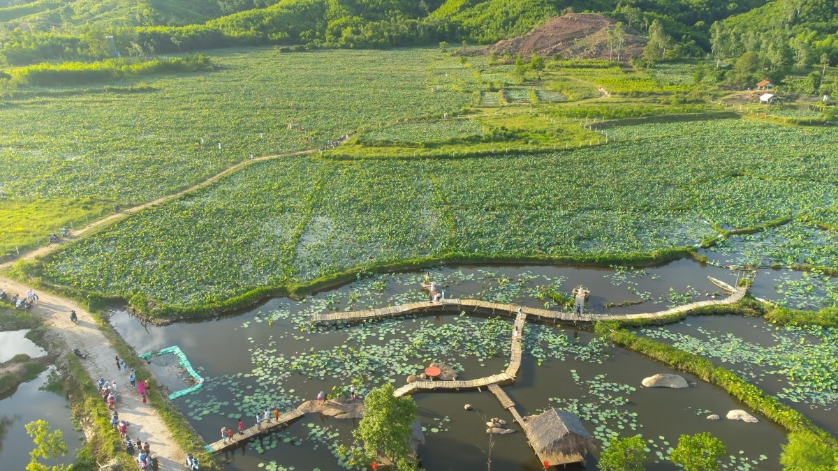 Khoảng từ cuối tháng 5 hàng năm thì một vùng rộng lớn đầm sen Trà Lý bắt đầu nở. Thời điểm này, sen đang vào mùa nở hồng rực rỡ. Nơi đây dân cư thưa thớt nhưng có cảnh đẹp nên thu hút nhiều người đến đây để check-in mỗi khi mùa sen nở rộ.