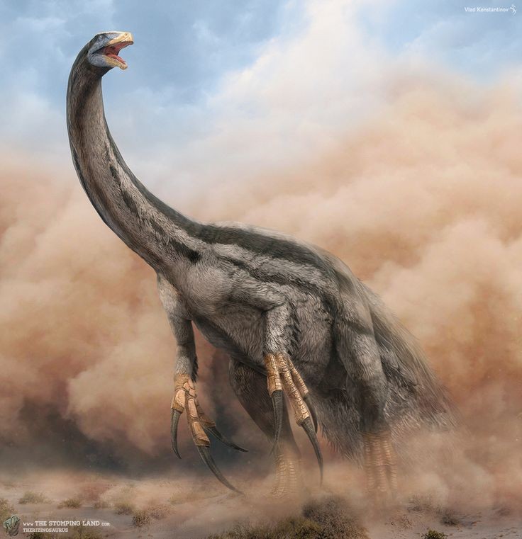  Therizinosaurus. Đây là loài  khủng long đi bằng hai chân có cặp vuốt dài đến 1 mét – dài nhất trong số các loài khủng long từng được biết đến. Dù có vẻ ngoài “nguy hiểm”, Therizinosaurus chủ yếu ăn thực vật. Ảnh: Pinterest.