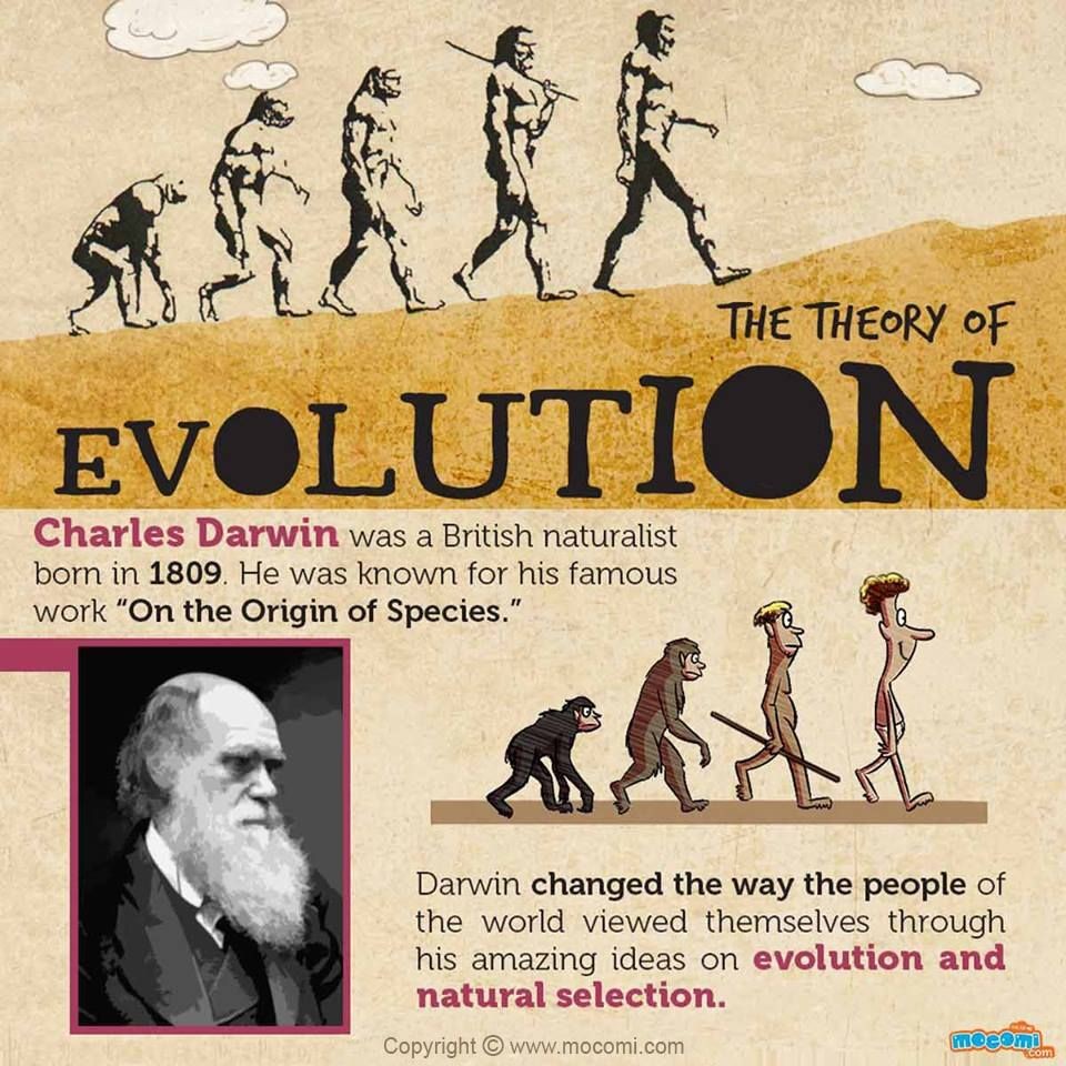  Không phải Darwin là người đầu tiên nghĩ về tiến hóa. Trước  Darwin, đã có nhiều nhà tư tưởng như Jean-Baptiste Lamarck, người cũng đề xuất rằng sinh vật có thể thay đổi theo thời gian. Ảnh: Pinterest.