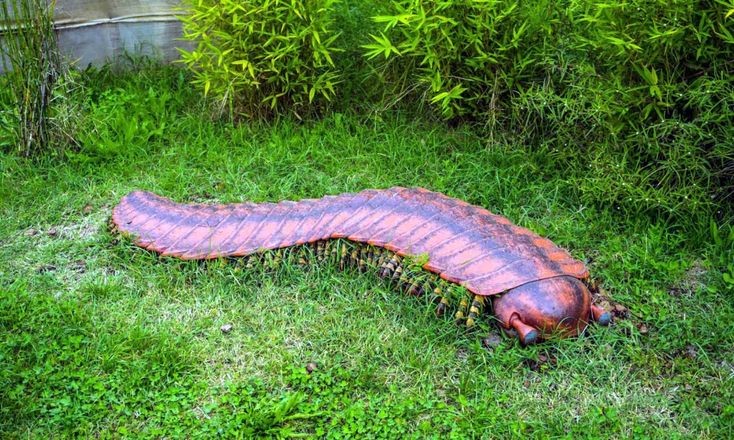  Kích thước khổng lồ. Arthropleura có thể dài tới 2,5 mét, khiến nó trở thành loài chân đốt lớn nhất trong lịch sử Trái Đất từng được biết đến. Ảnh: Pinterest.