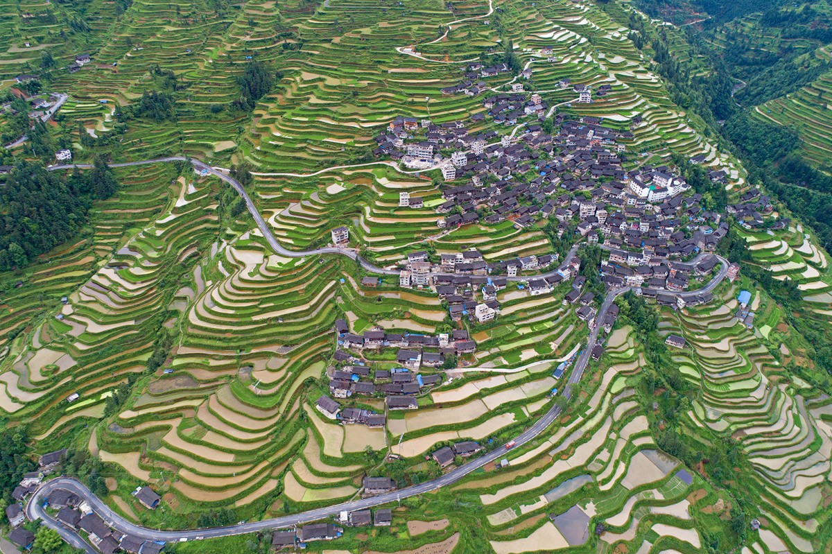 Ruộng bậc thang tuyệt đẹp trên núi Leigongshan ở Châu tự trị Kiềm Đông Nam (Qiandongnan), tỉnh Quý Châu. Ảnh chụp ngày 27/5/2018.