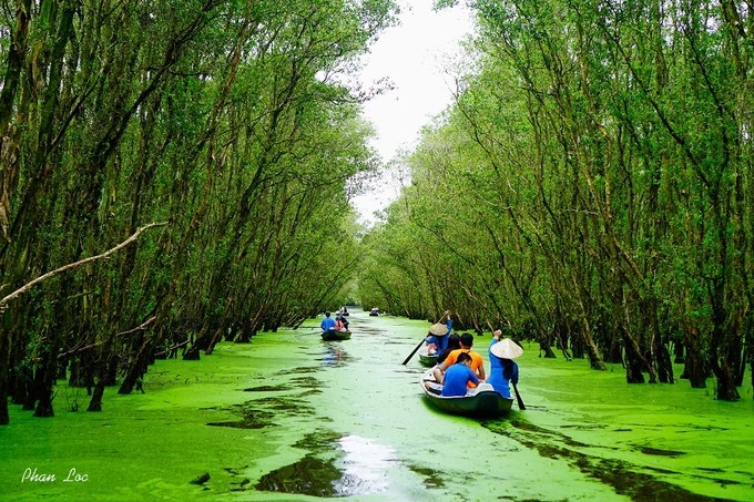 Chèo xuồng trong rừng tràm Trà Sư: Nằm cách thị xã Châu Đốc chừng 30km, rừng tràm Trà Sư thuộc huyện Tịnh Biên, An Giang mang nét đẹp điển hình của  miền Tây mùa nước nổi. Thật phí phạm nếu như bạn tới miền tây mà không dành thời gian thả trôi mình với thiên nhiên mát lành nơi đây.