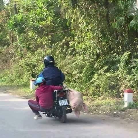 Thời gian qua trên một số diễn đàn mạng, nhiều thành viên đã cho đăng tải rất nhiều hình ảnh về những màn chở hàng cồng kềnh, quá khổ và vô cùng bá đạo khiến người xem rợn người.