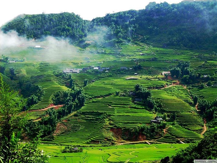 Cao nguyên Mộc Châu nằm cách Hà Nội khoảng 190 km, một điểm đến không quá gần nhưng lại đủ sức cuốn hút mãnh liệt và rất đáng để bạn dành thời gian tận hưởng, khám phá trong  dịp nghỉ lễ 30/4 tới. Nơi đây là thiên đường các loài hoa, từ bản Loóng Luông nằm trên đường Quốc lộ 6 với rừng đào, rừng mận bạt ngàn cho tới xã Tân Lập, Bản Ôn nằm trên đường vào thị trấn nông trường Mộc Châu với địa danh Ngũ Động và nhiều cánh đồng hoa dã quỳ, trạng nguyên. Ảnh: Cafephuot.