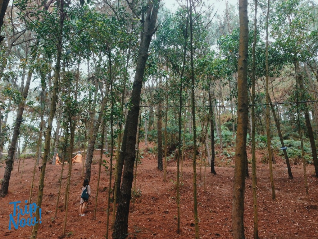 Cùng với Sơn Tinh Camp hay Hàm Sơn, Bản Rõm mới đây đã được giới trẻ điền vào sổ tay những khu du lịch sinh thái gần Hà Nội có thể đi lại và vui chơi trong những ngày cuối tuần và đặc biệt là dịp  nghỉ lễ 2/9 tới.