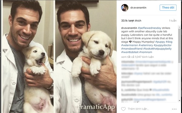 Evan Antin,  bác sĩ thú y ở bệnh viện Conejo Valley Veterinary, Mỹ.