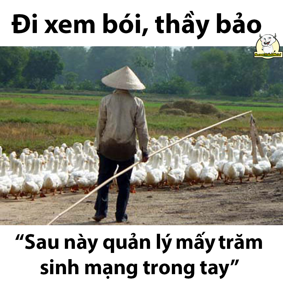 Ngày xưa, ông bà ta thường có "niềm tin" tương đối vào những câu thầy bói phán đầu tiên là trong việc cưới hỏi, ma chay và sau đó đến cả việc nghề nghiệp sau này.