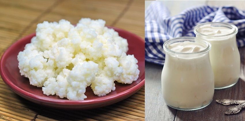 Nhiều sản phẩm từ sữa, bao gồm sữa chua và nấm sữa kefir, có chứa vi sinh vật được gọi là probiotic - vi khuẩn "tốt" giúp cải thiện sức khỏe đường ruột và làm mềm phân. Ảnh: beemart.