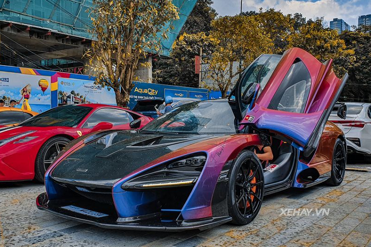 Đây là chiếc  McLaren Senna độc nhất Việt Nam tính đến thời điểm hiện tại, xe được đưa về nước vào tháng 7/2020 thông qua một công ty tư nhân và thuộc sở hữu của doanh nhân Hoàng Kim Khánh.