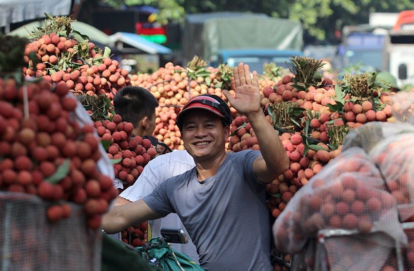 Từ đầu tháng 6 đến nay, vùng trồng  vải thiều Lục Ngạn ở Bắc Giang tấp nập người mua kẻ bán. Dù năm nay sản lượng vải thấp hơn mọi năm nhưng người trồng vải không buồn bởi giá cao hơn. Ảnh: Vietnamnet.