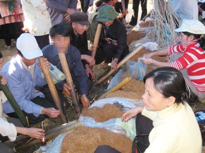 Thuốc lá - thuốc lào, thuốc nào độc hơn?