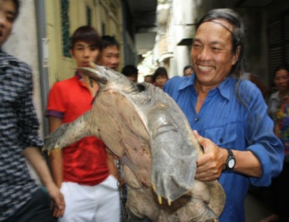 Sốt “thuỷ quái” trăm triệu đồng... làm “mồi” nhậu